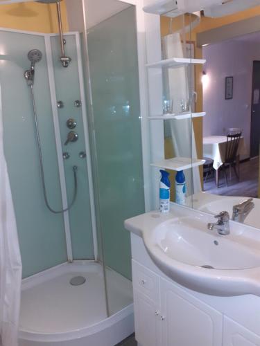 a bathroom with a shower and a sink at Gîte 15 in Rogny