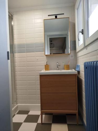 une salle de bain avec un lavabo, un miroir et une douche dans l'établissement Appartement plein centre avec terrasse, à Lons-le-Saunier