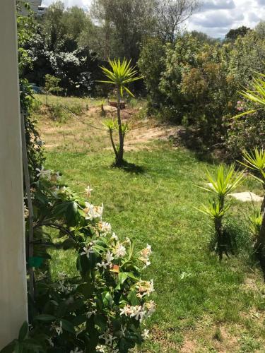 a garden with some plants and flowers in the grass at La fragola in Campagna 6 k m da San pantaleo in San Pantaleo