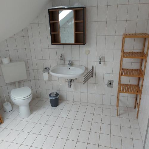 a bathroom with a sink and a toilet and a mirror at Ferienwohnung am Berg in Wiesent