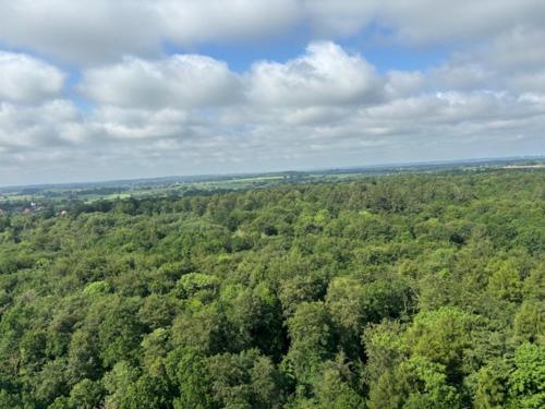 Příroda nedaleko apartmánu