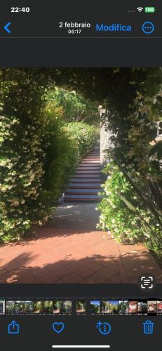 Fotografie z fotogalerie ubytování Villa Elianna in una oasi marina v destinaci Alassio