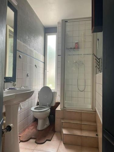 une salle de bain avec toilettes, douche et lavabo dans l'établissement Charmant 110m2 avec jardin privé, à Maisons-Laffitte