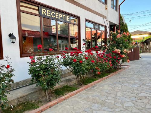 Φωτογραφία από το άλμπουμ του Casa Luca σε Vama Veche