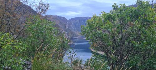 a view of a river through a mountain valley at Delicious in Pluzine