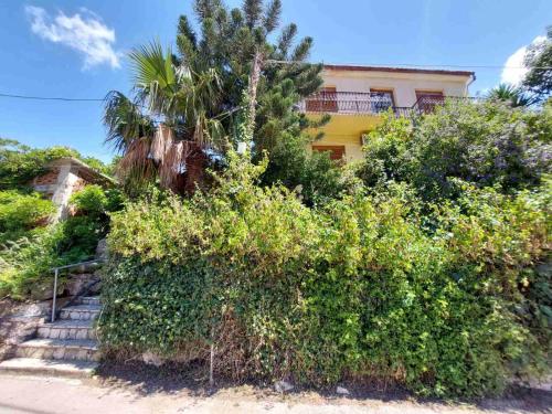 a building with a bunch of trees and bushes at VASILAKI Apartments in Vathi, Ithaka