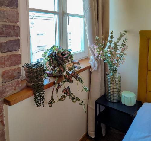 a window with a bunch of plants on a window sill at Apartamenty Piekary 11 przy Wiśle by Rentoom in Toruń