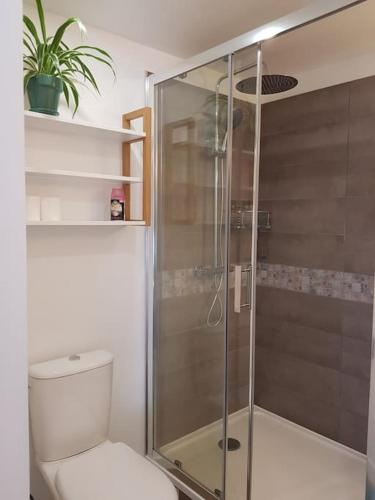 une salle de bain avec toilettes et douche en verre dans l'établissement Studio chaleureux 5 mns chaine des Puys, à Saint-Genès-Champanelle