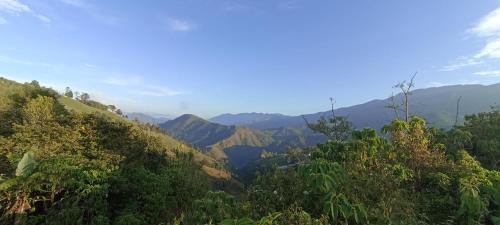 Gallery image of FINCA HOTEL Los AZAHARES in Angelópolis