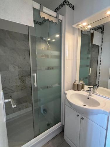 une salle de bain avec une douche en verre et un lavabo dans l'établissement Appartement entièrement rénové bord de mer - 4pers, au Cap d'Agde