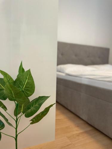 ein Schlafzimmer mit einem Bett und einer grünen Pflanze in der Unterkunft Klimatizovaný Apartmánový dom, s vírivkou, 1B in Senec