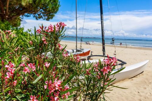 Plage Benoît à 80m, terrasse & jardinet