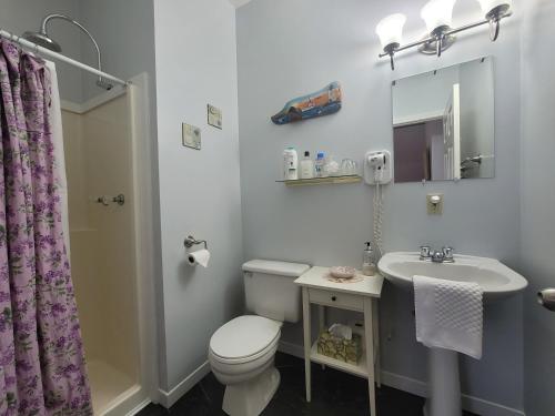 uma casa de banho com um WC, um lavatório e um espelho. em The Scotsman Inn em Pictou