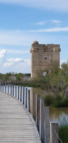 Photo de la galerie de l'établissement Mas de l'affenage, à Saint-Laurent-dʼAigouze
