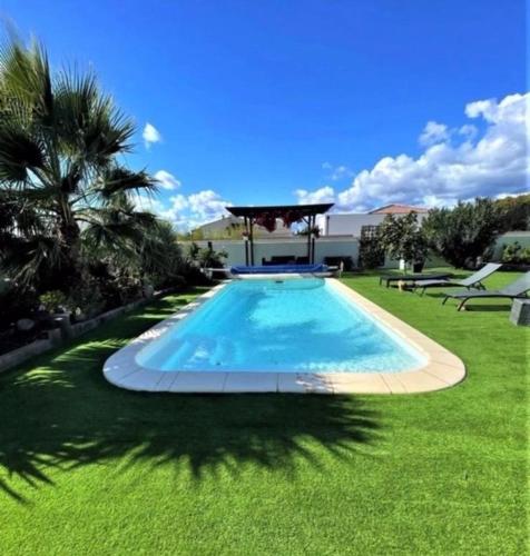 une piscine dans une cour avec un palmier dans l'établissement Maison de vacances plein de charme avec piscine, à Mirepeisset