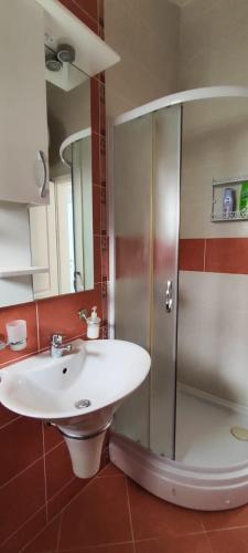 a bathroom with a sink and a shower at View Apartment in Krašići