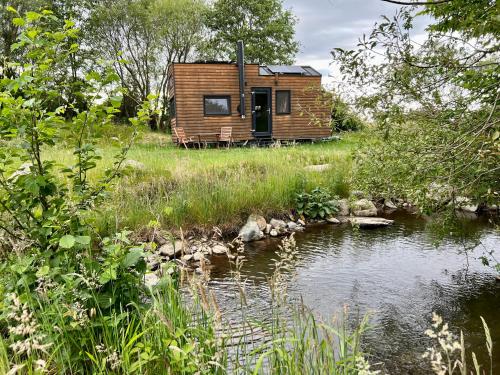 eine Hütte auf einem Feld neben einem Fluss in der Unterkunft Tiny Home in Dejani