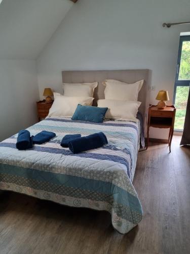 une chambre avec un lit avec des oreillers bleus dessus dans l'établissement Gites de la Varillère, à Cuzion