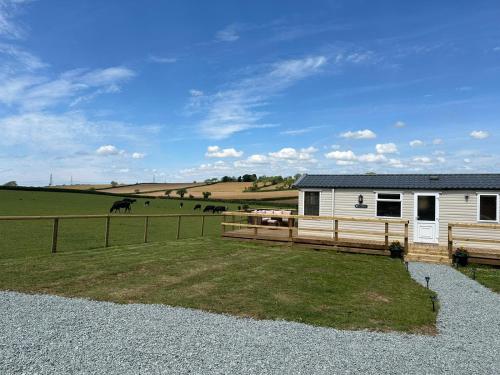 a house with a fence and horses in a field at Paddock view in Pembrokeshire