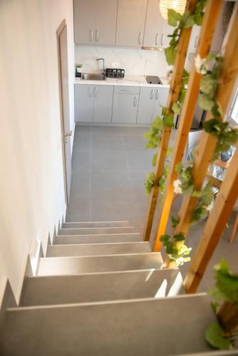 a staircase leading up to a kitchen with potted plants at Golden View Suites in Vóthon