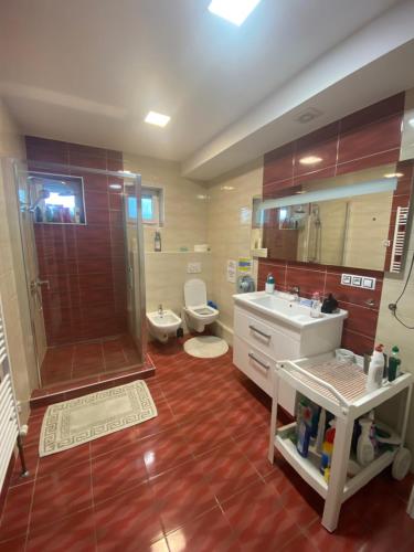 uma casa de banho com um chuveiro, um lavatório e um WC. em Homestay u Hanky em Zdiby