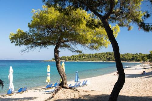 Gallery image of Sol et mare in Paliouri
