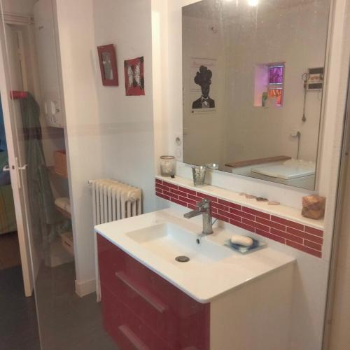 une salle de bain avec un lavabo et un miroir dans l'établissement Grand studio calme et lumineux, à Toulouse