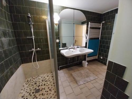 a bathroom with a sink and a shower at Ancienne ferme percheronne du 18ème siècle in Courgeon