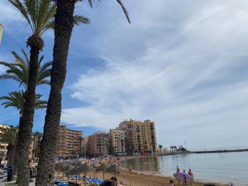 JTG PLAYA TORREVIEJA