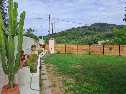 een cactus in een tuin naast een hek bij Conte Marco in Mesongi