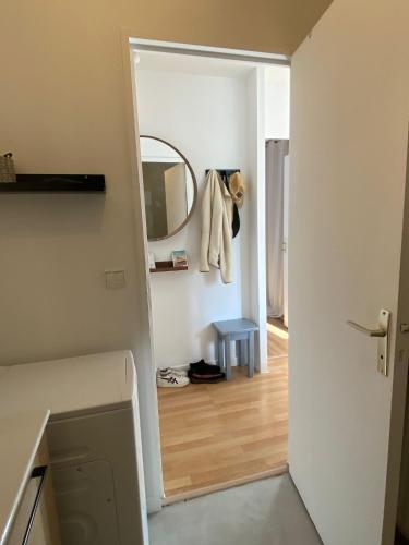 - un couloir avec un miroir et un chien dans la chambre dans l'établissement Appartement cosy sur Mennecy, à Mennecy
