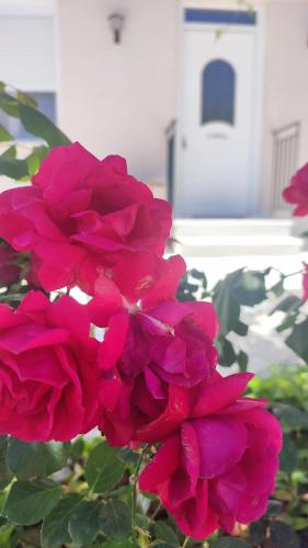 Gallery image of Olivia's house in Kalogoniá