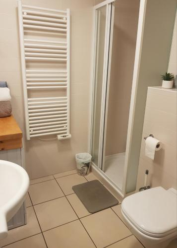 une salle de bain avec une douche, des toilettes et un lavabo dans l'établissement Appartement l'Étoile pour 1 à 4 personnes, à Sallanches