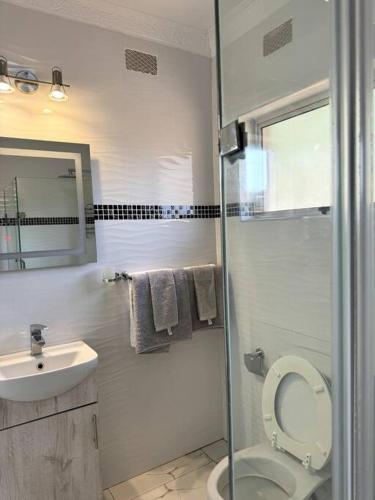 a bathroom with a toilet and a sink and a shower at Nid De Chateau in Harare
