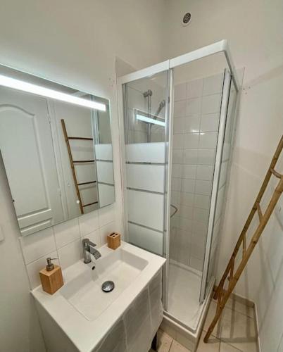 une salle de bain blanche avec un lavabo et une douche dans l'établissement Studio de charme Avignon centre, à Avignon