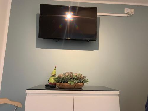 a television hanging on a wall with a plant on a cabinet at "de hyggelige Loftrum" in Eckernförde