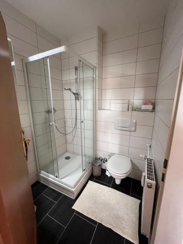 a bathroom with a shower and a toilet at Five O - FeelGood-Apartment Goethe in Perleberg