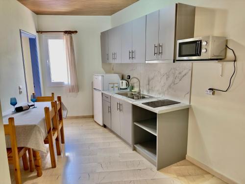 a kitchen with a table and a sink and a microwave at Anemos Studios & Apartments in Póros Kefalonias