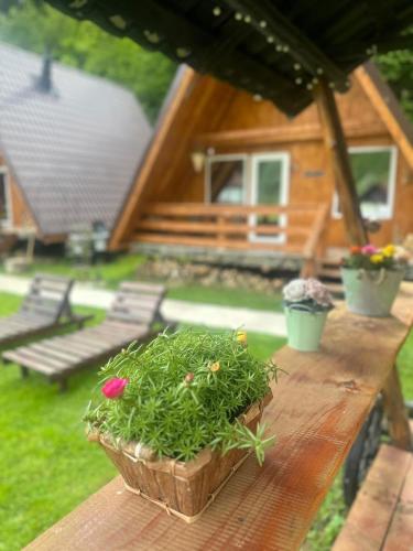 a wooden table with two potted plants on it at Cabanutze Satic in Rucăr