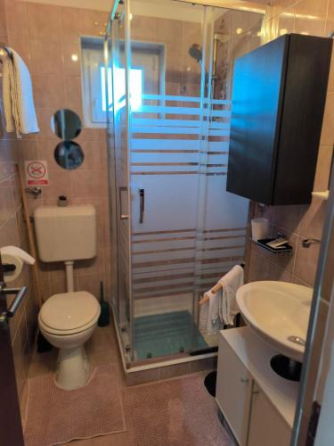a bathroom with a shower and a toilet and a sink at Panoramic view studio in Rab