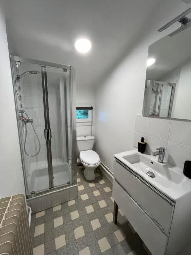 une salle de bain avec toilettes, douche et lavabo dans l'établissement AU PETIT CHENE, à Aire-sur-lʼAdour