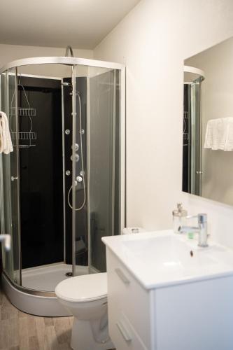 une salle de bain avec une douche, des toilettes et un lavabo dans l'établissement Villa Vichéia - Appartement 31, à Vichy