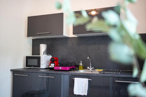 eine Küche mit einer Spüle und einer Mikrowelle in der Unterkunft Villa Vichéia - Appartement 31 in Vichy