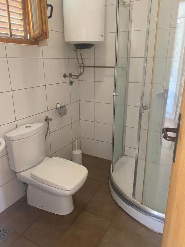 a bathroom with a toilet and a shower at Green Olive 3 in Budva