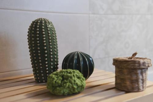 a group of cacti and a cactus on a table at Historical big & quite house in the mid of Salento in Cutrofiano