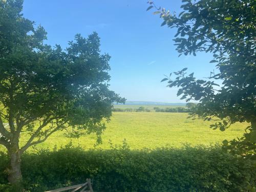 a green field with a tree in the foreground at 4 Lisle court cottages in Lymington