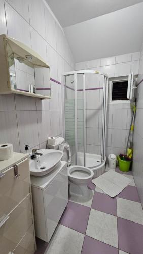 a bathroom with a toilet and a sink and a shower at Kuća NIKA in Tribunj