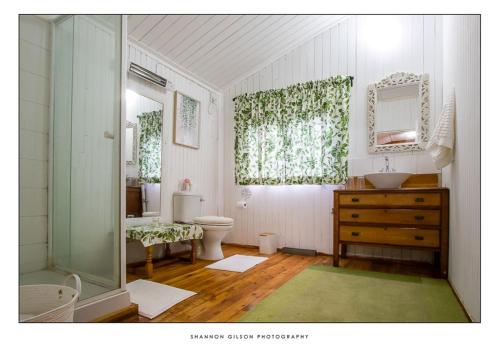a bathroom with a toilet and a sink and a mirror at Stunning Cosy cottages close to SaniPass mountains with Wifi and Dstv in Himeville