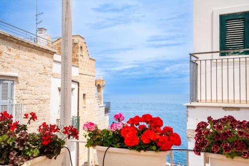 L'ARCO ANTICO - Una Casa sul Mare photo 3
