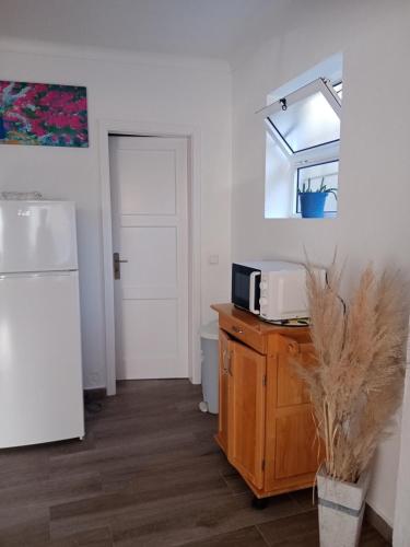a kitchen with a white refrigerator and a microwave at Saint Peter´s House in Angra do Heroísmo